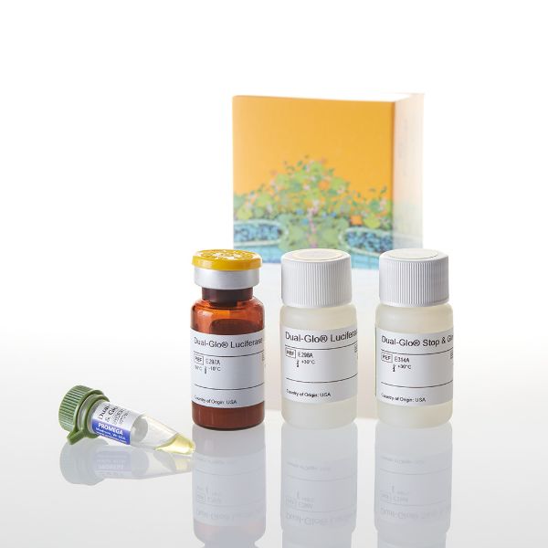 Picture of Dual-Glo Luciferase Assay System, 10ml