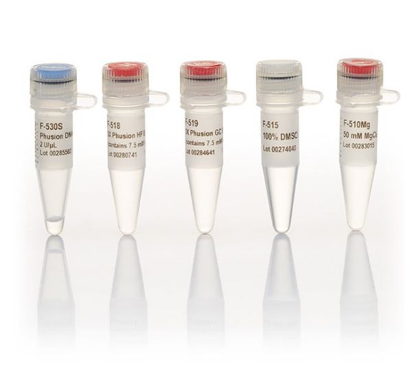 Picture of Phusion High Fidelity DNA Polymerase ( 100 u )