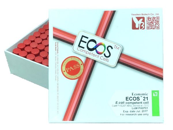 Picture of ECOS 21 Competent Cells [BL21(DE3)] 2x10^7