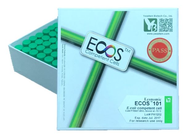 Picture of ECOS 101 (DH5α) Competent Cells 1x10^8