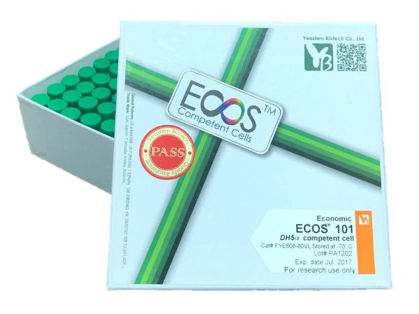 Picture of ECOS 101 (DH5α) Competent Cells 3x10^8