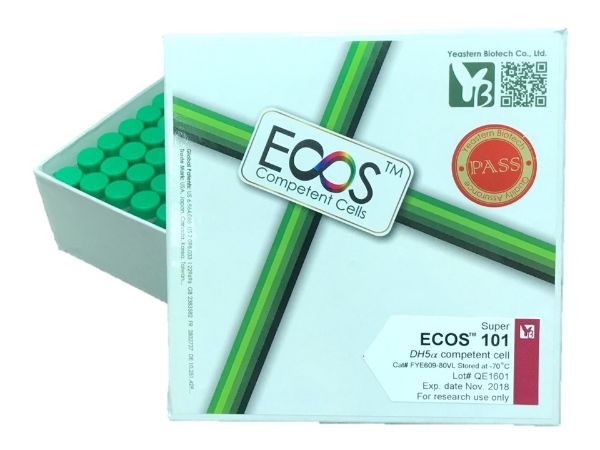 Picture of ECOS 101 (DH5α) Competent Cells 1x10^9