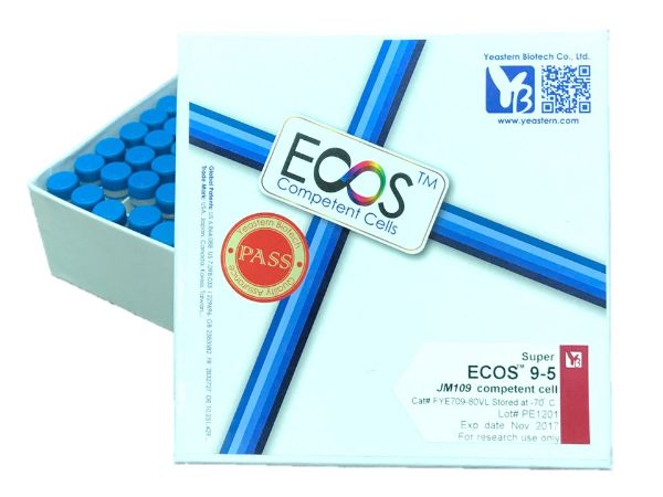 Picture of ECOS 9-5 Competent Cells [JM109] 5x10^8