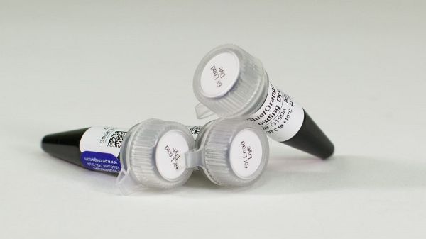 Picture of Blue/Orange Loading Dye 6X, 3ml