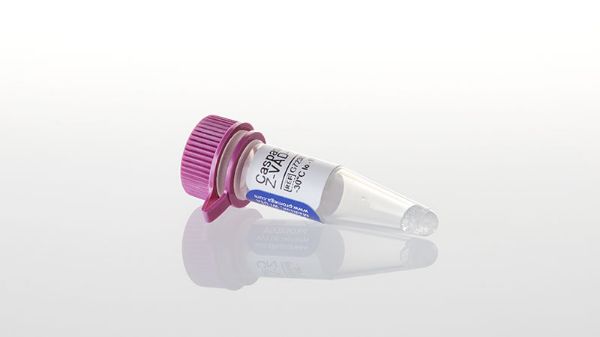 Picture of Caspase Inhibitor Z-VAD-FMK 20mM, 125ul