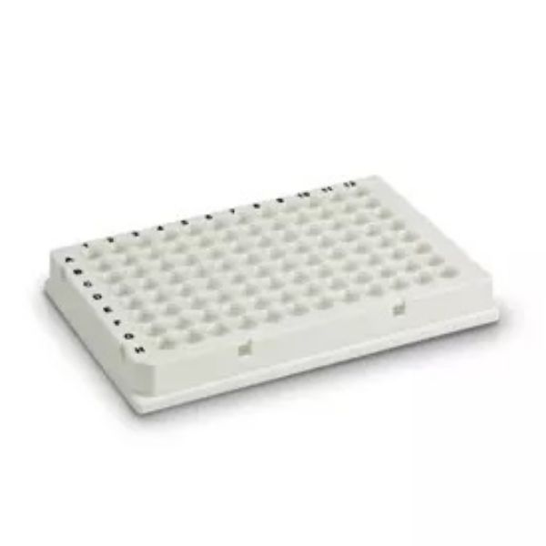 Picture of Hard-Shell 96-Well PCR Plates, low profile, thin wall, skirted, white/clear