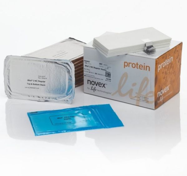 Picture of iBlot 2 Transfer Stacks, nitrocellulose, regular