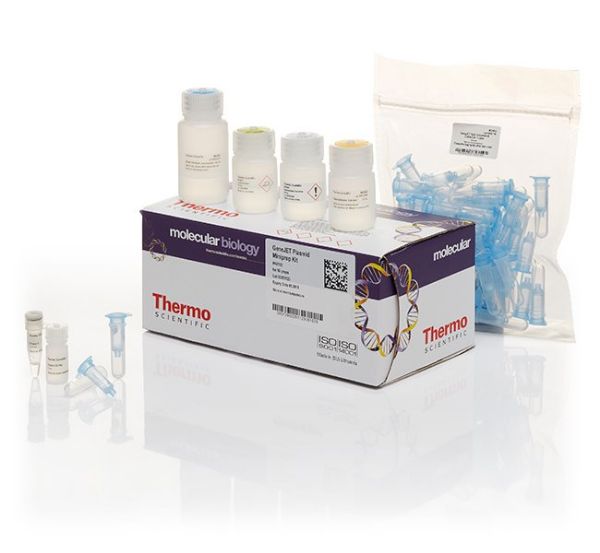 Picture of GeneJET Plasmid Miniprep Kit (250preps)