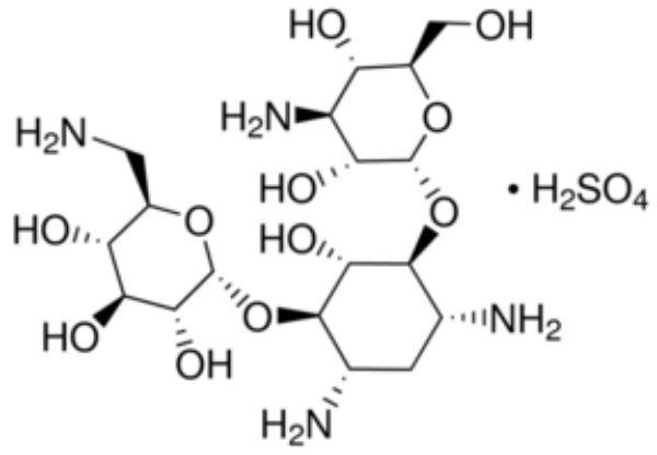 Picture of Kanamycin sulfate from Streptomyces kanamyceticus, BioReagent