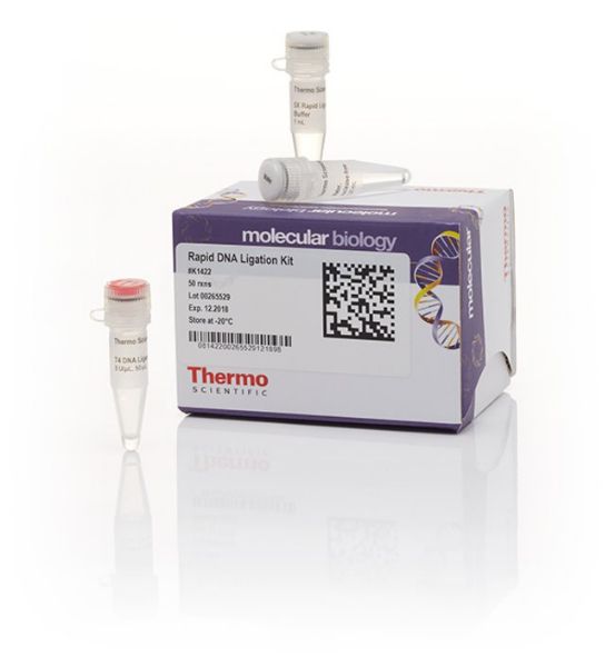Picture of Rapid DNA Ligation Kit , 50 react