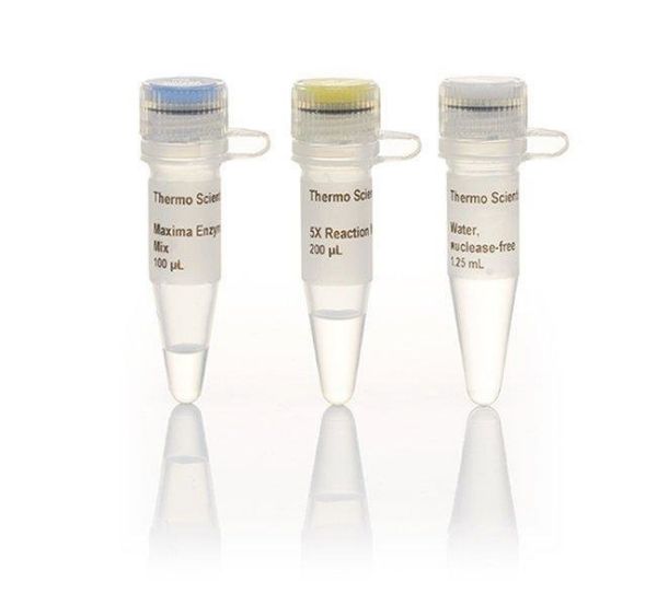 Picture of Maxima First Strand cDNA Synthesis Kit, 50 react