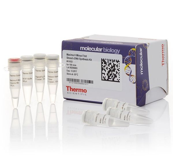 Picture of Maxima H Minus First Strand cDNA Synthesis Kit