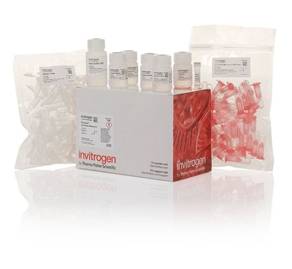 Picture of PureLink Quick Plasmid Miniprep Kit (50 preps)