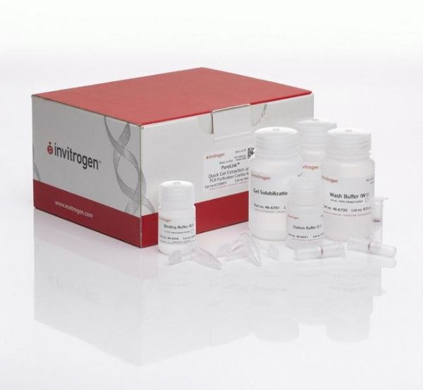 Picture of Purelink Quick Gel Extraction and PCR Purification Combo Kit
