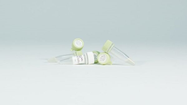 Picture of JM109 Competent Cells, 1ml (5 x 200ul)