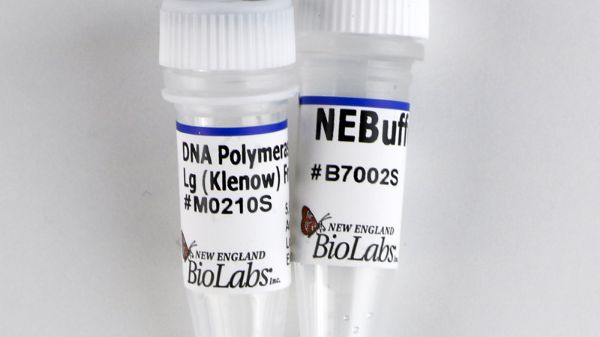 Picture of (S) DNA Polymerase I Klenow Fragment