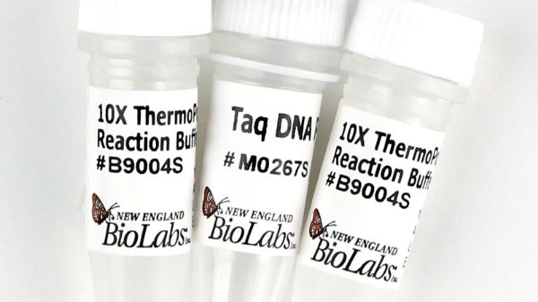 Picture of (S) Taq DNAPolymerase w/ ThermoPol Buf