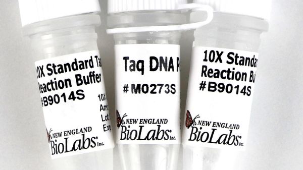 Picture of (S) Taq DNA Polymerase w/ Std Taq Buf