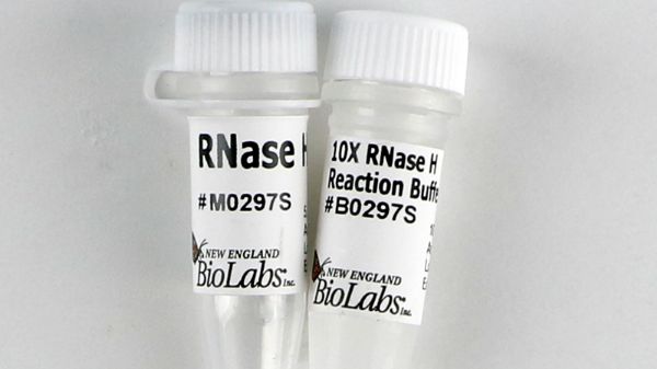 Picture of (S) RNase H