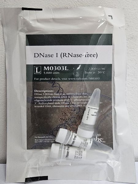 Picture of (L) DNase I (RNase-Free)