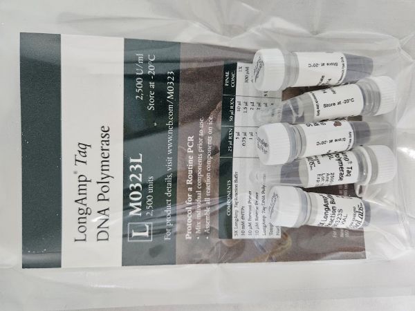 Picture of (L) LongAmp Taq DNA Polymerase