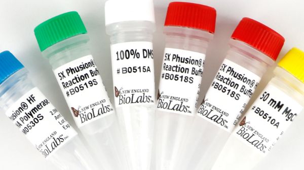 Picture of (S) Phusion High-Fidelity DNA Polymerase