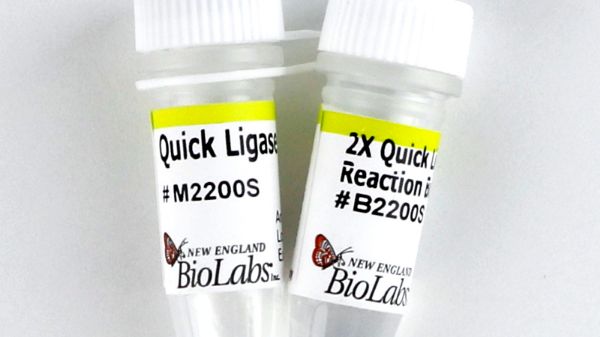 Picture of (L) Quick Ligation Kit