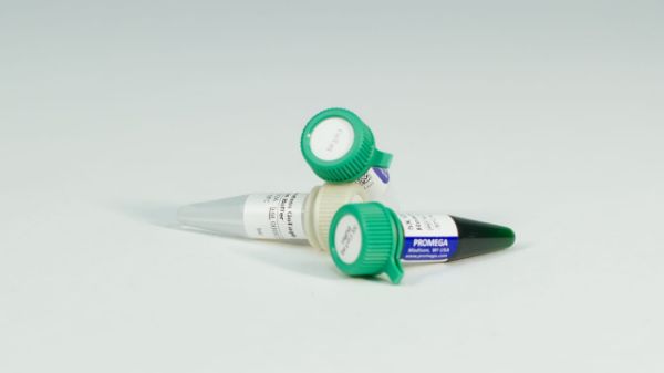 Picture of GoTaq DNA Polymerase, 500u