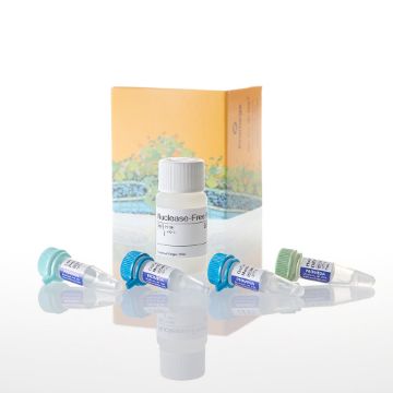 Picture of GoTaq Long PCR Master Mix, 100 rxn