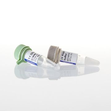 Picture of LigaFast Rapid DNA Ligation System, 30 reactions