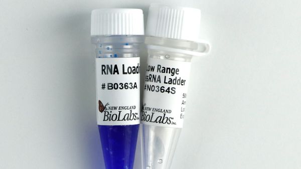 Picture of (S) Low Range ssRNA LAD