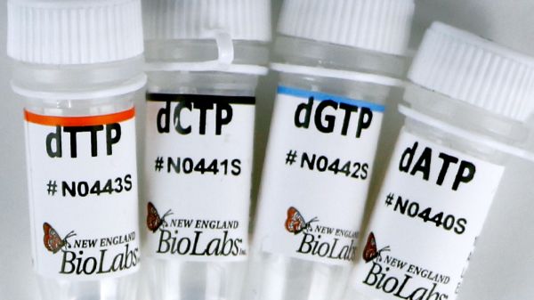 Picture of (S) Deoxynucleotide Solution Set