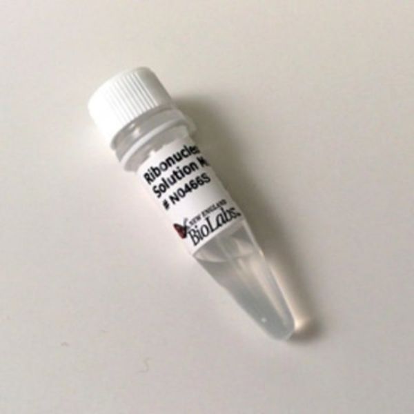 Picture of (L) Ribonucleotide Solution Mix