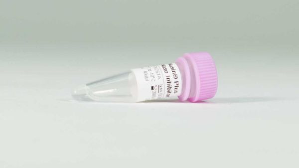 Picture of Recomb. RNasin Ribonuclease Inhibitor