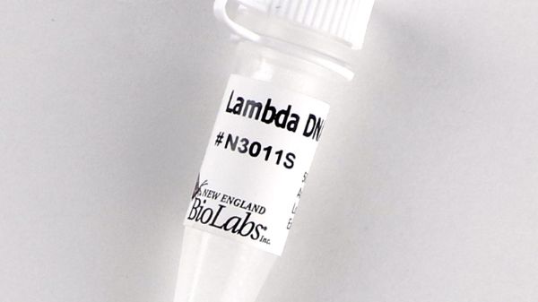 Picture of (S) Lambda DNA