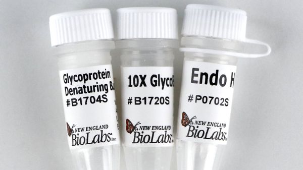 Picture of (S) Endo H
