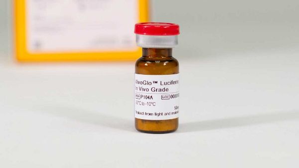 Picture of VivoGlo Luciferin, In Vivo Grade, 1g