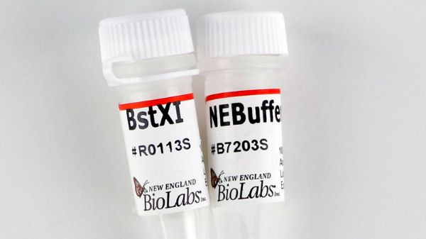 Picture of (S) BstXI