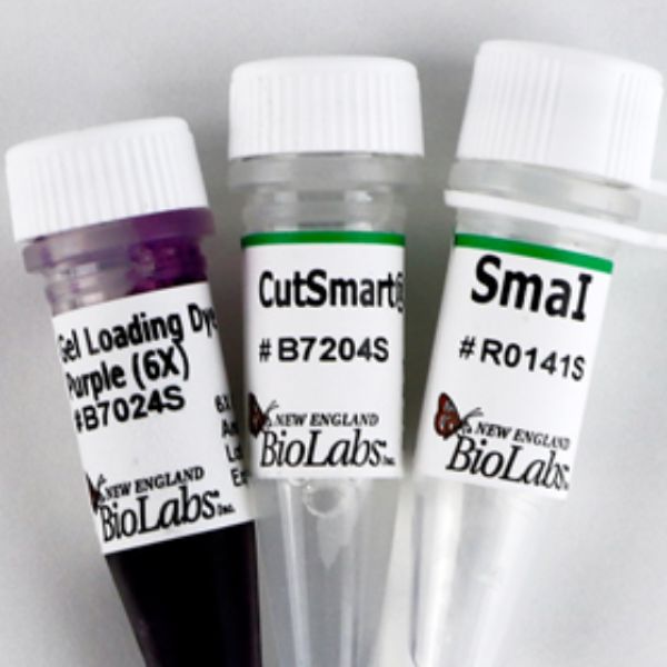 Picture of (S) SmaI