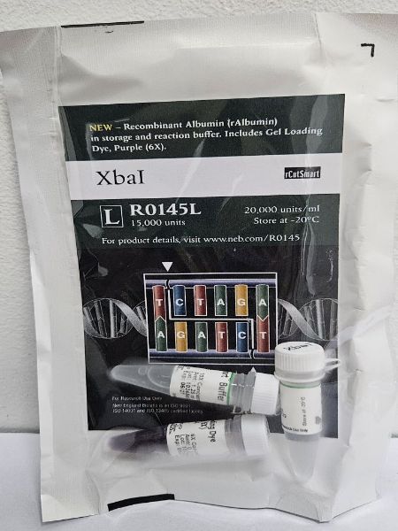 Picture of (L) XbaI