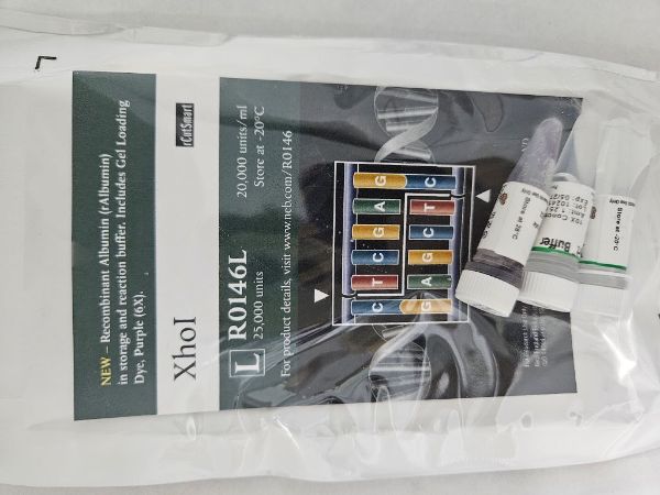 Picture of (L) XhoI