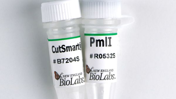 Picture of (S) PmlI