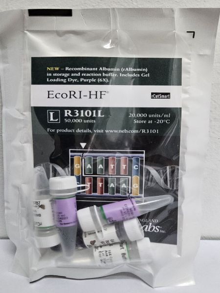 Picture of (L) EcoRI-HF