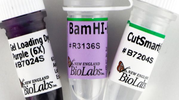 Picture of (S) BamHI-HF
