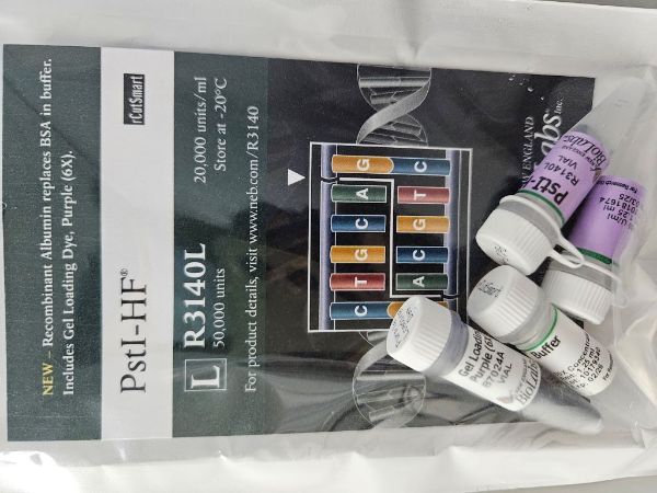 Picture of (L) PstI-HF