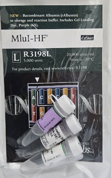 Picture of (L) MluI-HF