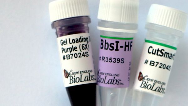 Picture of (S) BbsI-HF