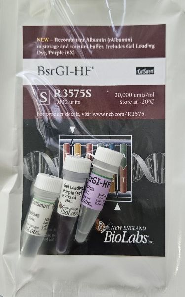 Picture of (S) BsrGI-HF