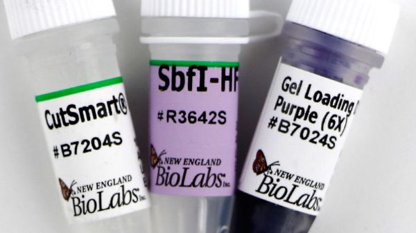 Picture of (S) SbfI-HF