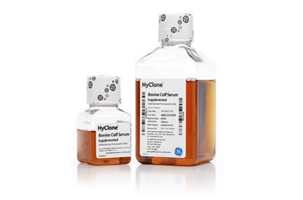Picture of Bovine Calf Serum, 500ml